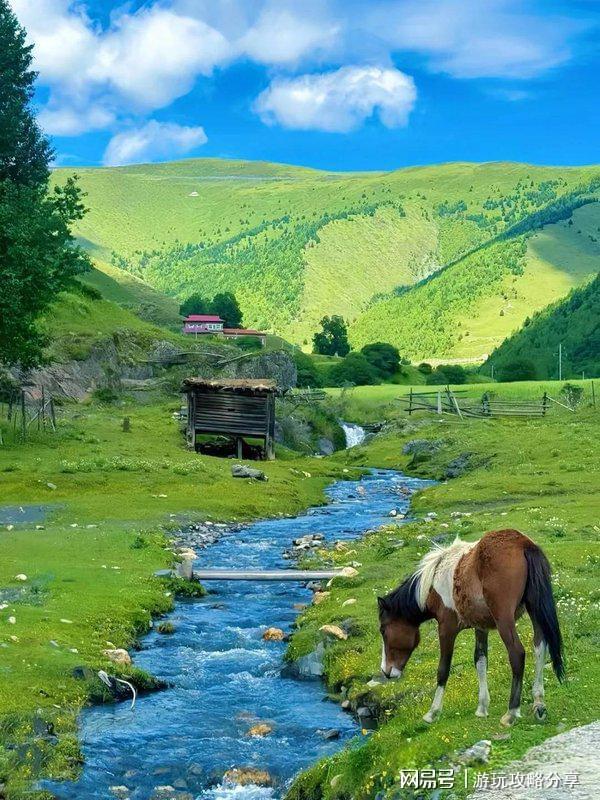 点什么 成都旅游保姆级出行手册！pg电子中国网站去成都四天可以玩(图3)